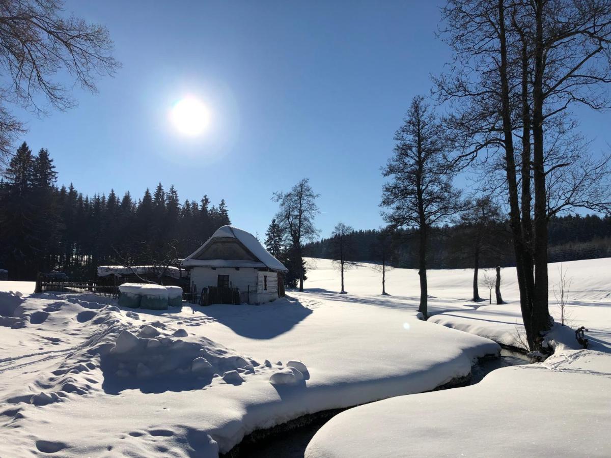 Hotel A Penzion Pegas Vlachovice Exteriör bild