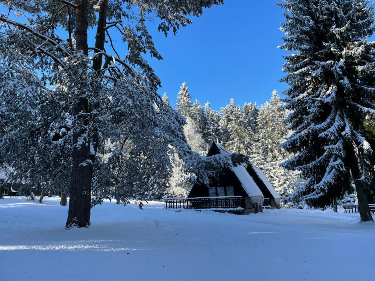 Hotel A Penzion Pegas Vlachovice Exteriör bild